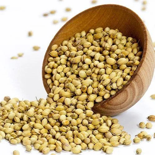 تخم گشنیز اعلا (۱۰۰گرمی)